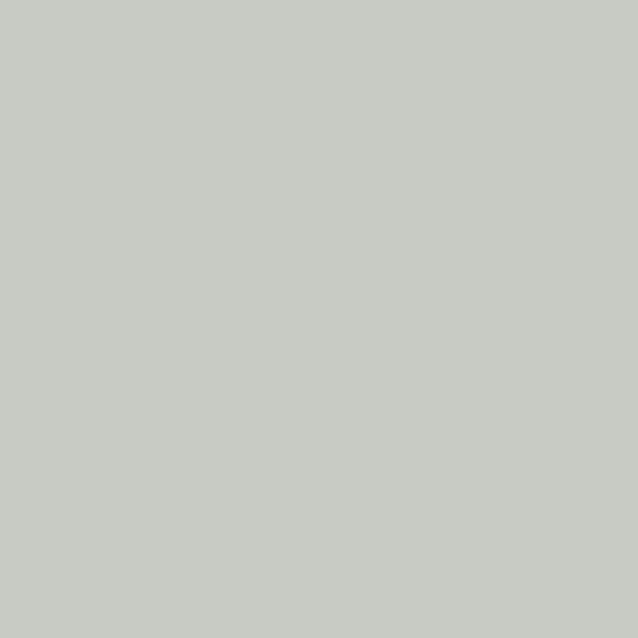 GRAY MORNING POWDER COATING PAINT, 1 LB - AXALTA ELH503S5